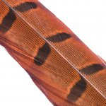 Hends Ocasní Pero z Bažanta Pheasant Tail Orange – Hledejceny.cz