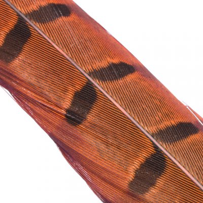 Hends Ocasní Pero z Bažanta Pheasant Tail Orange – Hledejceny.cz
