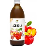 EkoMedica Acerola přírodní šťáva 0,5 l – Hledejceny.cz