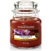 Svíčka Yankee Candle Vibrant Saffron 104 g