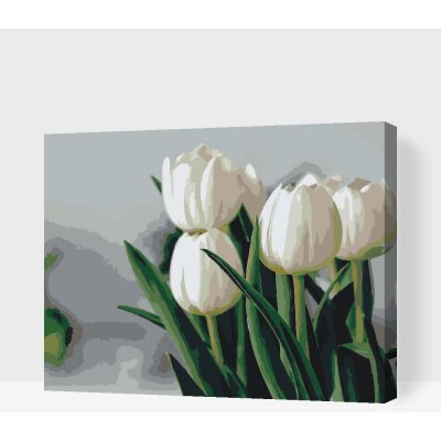 Vymalujsisam Malování podle čísel Bílé tulipány