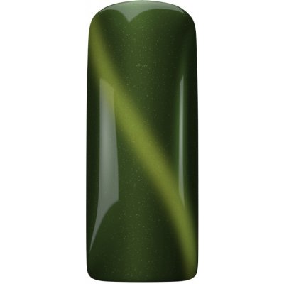 Magnetic Nail Cat Eye Emerald Magnetický gel lak na nehty Kočičí oko 15 ml – Zbozi.Blesk.cz