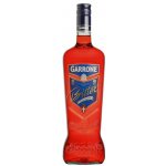 GARRONE BITTER 1 l (holá láhev) – Sleviste.cz