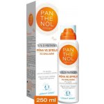 Panthenol Omega Chladivá pěna ve spreji 10% 150 ml – Sleviste.cz