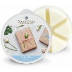 Goose Creek vosk do aroma lampy Krásný den 59 g – Hledejceny.cz