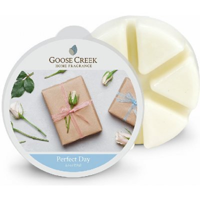Goose Creek vosk do aroma lampy Krásný den 59 g – Hledejceny.cz