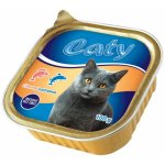 Akinu CATY Losos & pstruh 100 g – Zbozi.Blesk.cz
