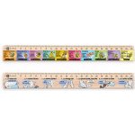 Metrie DSM09 pravítko 25 cm Slovní druhy + pravítko 25 cm Mluvnické pády – Zboží Živě