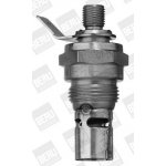 BorgWarner (BERU) Žhavící svíčka BERU 0101072405 (BE GF859) | Zboží Auto