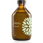 Natu Kombucha bio probiotický nápoj Cucumber & Coriander 315 ml – Zboží Dáma Natu Kombucha bio probiotický nápoj Cucumber & Coriander 315 ml – Zboží Dáma