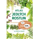 Atlas jedlých rostlin - Aleksandra Halarewicz