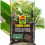 Compo Sana Substrát pro zelené rostliny a palmy 10 l – Zboží Dáma