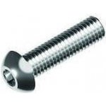 Hahn Steel Imbusový šroub s hřibovitou hlavou M5 x 12 mm, AISI 304 93.0511.512.17 – Sleviste.cz
