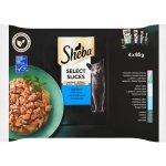Sheba Selection in Sauce losos a treska tmavá bílá ryba mořská ryba treska obecná 4 x 85 g – Hledejceny.cz