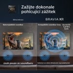 Sony Bravia XR-55A95L – Sleviste.cz