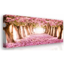 Malvis Obraz na plátně Kvetoucí stromy 150x100 cm