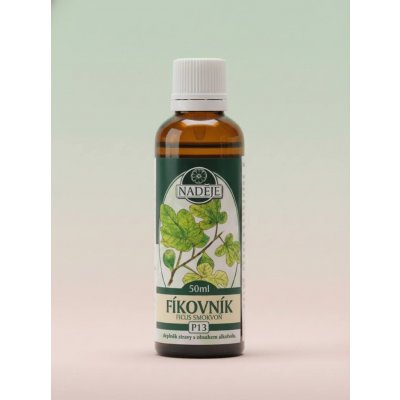 Naděje Fíkovník tinktura z pupenů 50 ml – Hledejceny.cz