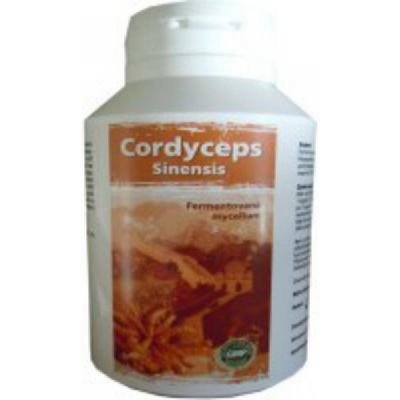 MRL Cordyceps 90 tablet