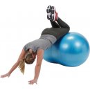 Physio Roll Plus