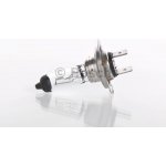 Bosch Truck Light 1987302471 H7 PX26d 24V 70W – Hledejceny.cz