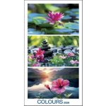 Colours nástěnný 33 x 60 cm 2026 – Sleviste.cz