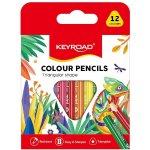 Keyroad 954674 12 ks – Zboží Mobilmania