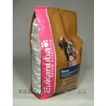 Eukanuba Boxer 2 x 12 kg – Hledejceny.cz