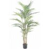 Květina Areca palma, 150cm
