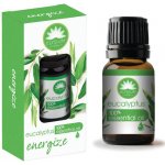 Elysium Spa Aromatherapy Eukalyptus esenciální olej 10 ml – Hledejceny.cz