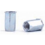 Nýtovací matice hexagonální M5 s malou zápustnou hlavou / balení 500 ks – Hledejceny.cz