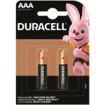 Duracell Basic AAA 2ks 10148634PS – Zboží Mobilmania