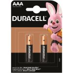 Duracell Basic AAA 2ks 10148634PS – Hledejceny.cz