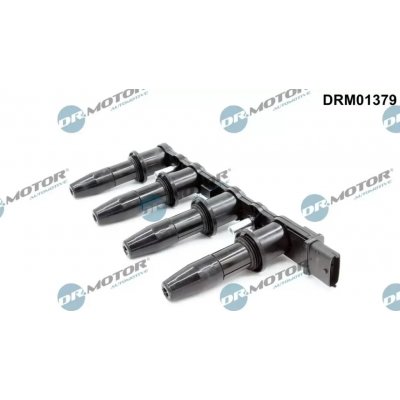 Zapalovací cívka Dr.Motor Automotive DRM01379 – Hledejceny.cz