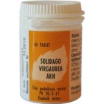 AKH Solidago Virgaurea 60 tablet – Hledejceny.cz