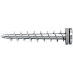 Fischer 563537 Izolační šroub 65 mm TX 50 ks – Hledejceny.cz