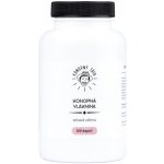 Konopný Táta Konopná vláknina 120 kapslí – Hledejceny.cz