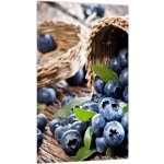 Obraz - Šťavnaté borůvky, jednodílný 20x30 cm – Zboží Dáma