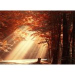 Pohlednice Moment štěstí – Zboží Mobilmania