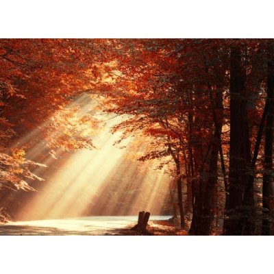 Pohlednice Moment štěstí – Zboží Mobilmania