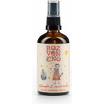 Rozvoněno Vánoční zázrak přírodní osvěžovač vzduchu s hřebíčkem, skořicí, badyánem a anýzem 100 ml – Zboží Dáma