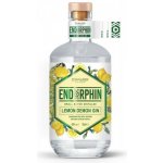 Endorphin Lemon Demon Gin 43% 0,5 l (holá láhev) – Zboží Dáma