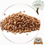 Krmimmasem Pohanka loupaná 1 kg – Zboží Mobilmania