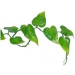 Lucky Reptile Philo Vine 200 cm – Hledejceny.cz