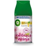 Air Wick Freshmatic Náplň do osvěžovače vzduchu Květy třešní, 250 ml – Sleviste.cz