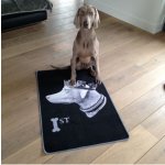 Pet Rebellion Boot Mate Ochranný potah do kufru černý 67 x 100 cm – Sleviste.cz