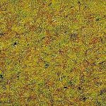 Noch statická tráva letní louka 2,5mm 20g 08310 – Hledejceny.cz