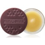 Burt’s Bees Lip Treatment intenzivní noční péče na rty 7,08 g – Hledejceny.cz