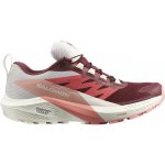 Salomon SENSE RIDE 5 GTX W Syrah/Vanila/Pea – Zboží Dáma