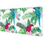 podložka na stůl papoušci nástěnná – Sleviste.cz