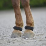 WALDHAUSEN Kroužky na spěnky černé – Zboží Mobilmania